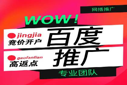 百度竞价广告策略分析及实战案例